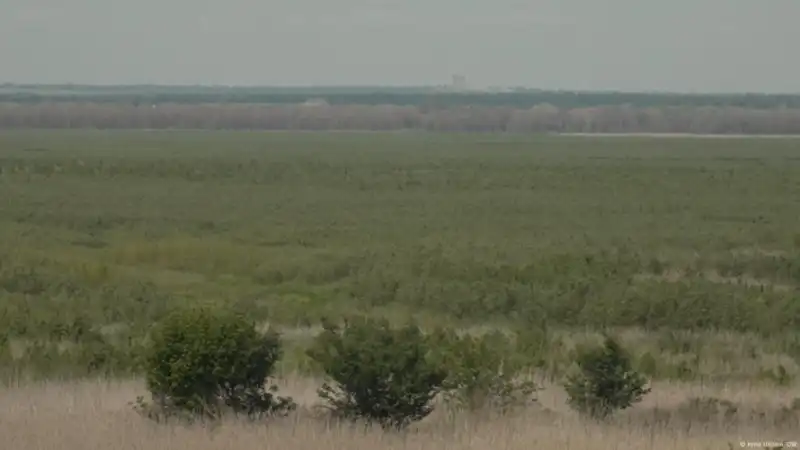 Життя після води: що з’явилося на місці Каховського моря через два роки після руйнування ГЕС